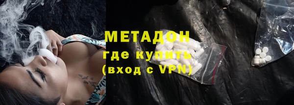 шишки Белокуриха