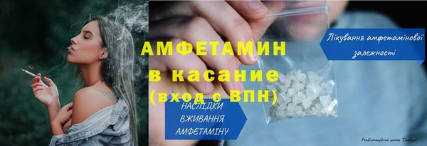 шишки Белокуриха