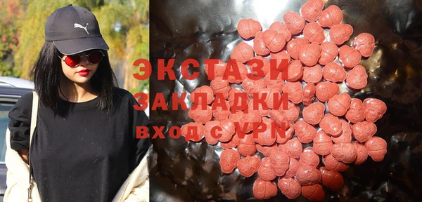 шишки Белокуриха