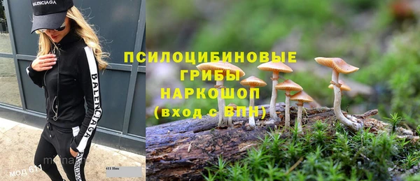 ALPHA PVP Баксан