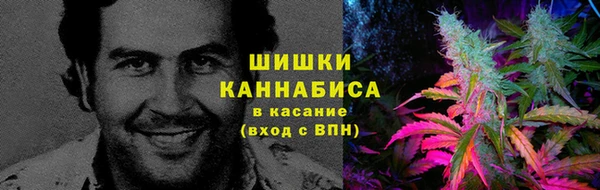 стафф Белоозёрский