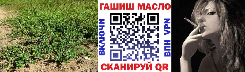 Дистиллят ТГК жижа Купить где Заинск