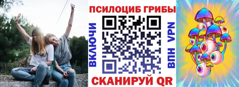 Купить где  Заинск  Галлюциногенные грибы мицелий 